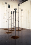 Metered Growth
